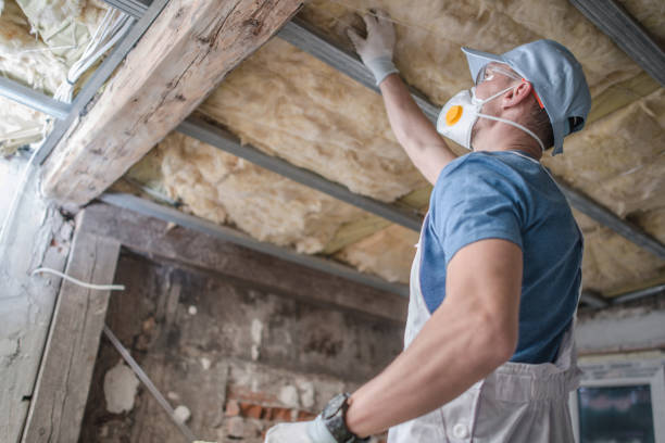 Best Specialized Insulation Services in Georgetown, CO