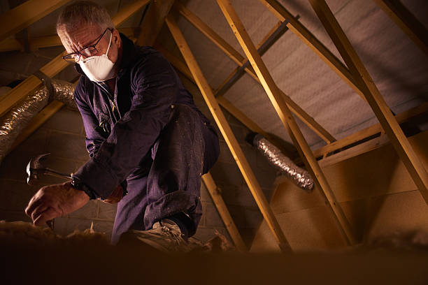 Best Eco-Friendly Insulation in Georgetown, CO